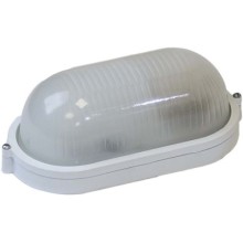 Светильник настенно-потолочный ЭРА НБП 04-60-001