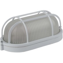 Светильник настенно-потолочный ЭРА НБП 04-60-002