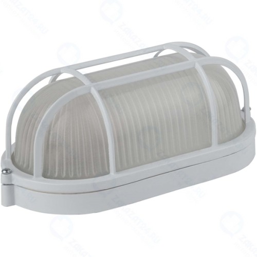 Светильник настенно-потолочный ЭРА НБП 04-60-002