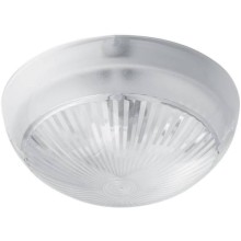 Светильник для ЖКХ ЭРА НБП 06-60-101