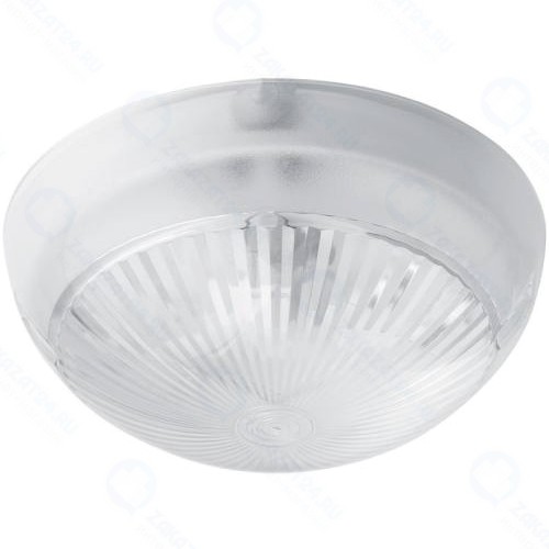 Светильник для ЖКХ ЭРА НБП 06-60-101