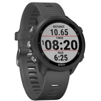 Смарт-часы Garmin Forerunner 245 GPS EU Black/Slate (010-02120-10)
