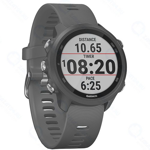 Смарт-часы Garmin Forerunner 245 GPS EU Black/Slate (010-02120-10)