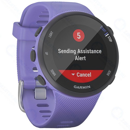 Смарт-часы Garmin Forerunner 45 GPS S Iris (010-02156-11)