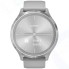 Смарт-часы Garmin Vivomove 3 Silver/Powder Gray (010-02239-20)