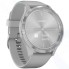 Смарт-часы Garmin Vivomove 3 Silver/Powder Gray (010-02239-20)