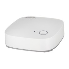 Центральный контроллер Hommyn Zigbee (HU-20-Z)