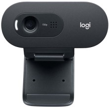Beб-камера Logitech C505 HD (960-001364)