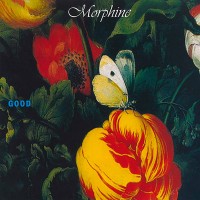 Виниловая пластинка WARNER-MUSIC Morphine: Good
