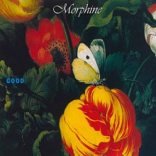 Виниловая пластинка WARNER-MUSIC Morphine: Good