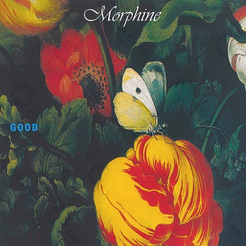 Виниловая пластинка WARNER-MUSIC Morphine: Good