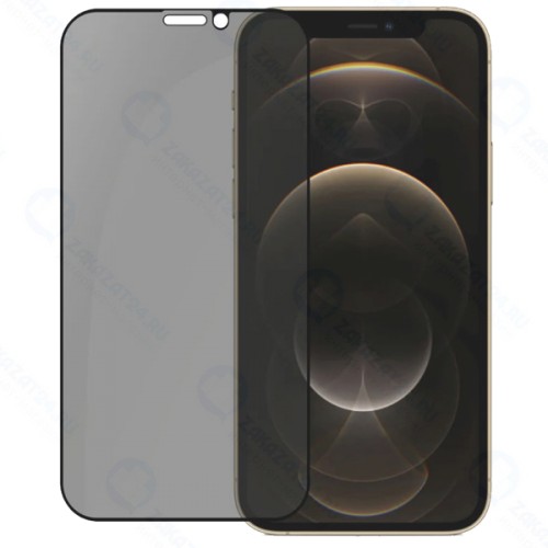Защитное стекло PERO для iPhone 12/12 Pro, черное (PGFGP-I12P)