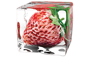 Холодильник LG GA-B419SYJL Холодильник LG GA-B419SYJL