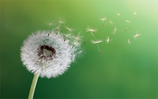 Посудомоечная машина Whirlpool WFP 5O41 PLG X Посудомоечная машина Whirlpool WFP 5O41 PLG X