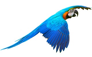 Смартфон Honor 20s Смартфон Honor 20s