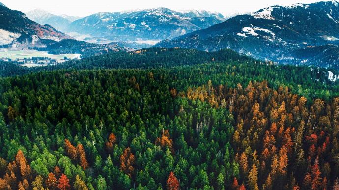 Телевизор LG 43LK5910PLC Телевизор LG 43LK5910PLC