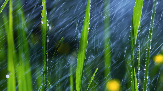 Телевизор LG 43LK5910PLC Телевизор LG 43LK5910PLC