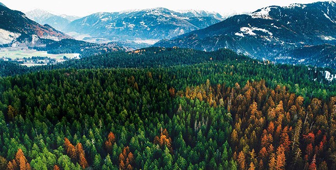 Ultra HD (4K) LED телевизор LG 43UK6200PLA Ultra HD (4K) LED телевизор LG 43UK6200PLA