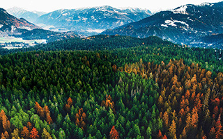 Ultra HD (4K) LED телевизор LG 49UK6450PLC Ultra HD (4K) LED телевизор LG 49UK6450PLC