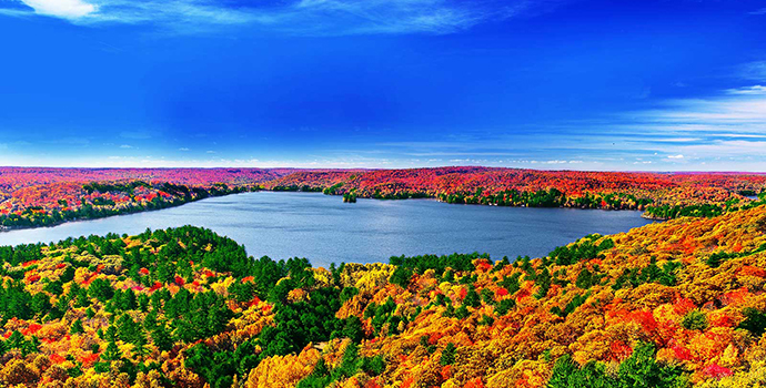 Телевизор LG 55UM7450PLA 