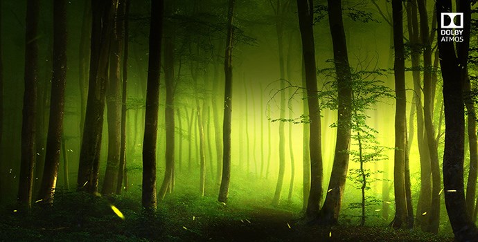 Ultra HD (4K) OLED телевизор LG OLED65C8PLA Ultra HD (4K) OLED телевизор LG OLED65C8PLA