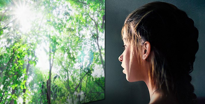 Ultra HD (4K) OLED телевизор LG OLED65C8PLA Ultra HD (4K) OLED телевизор LG OLED65C8PLA