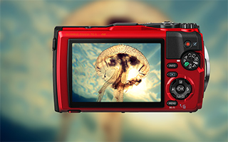 Компактный фотоаппарат OLYMPUS TG-5 Red